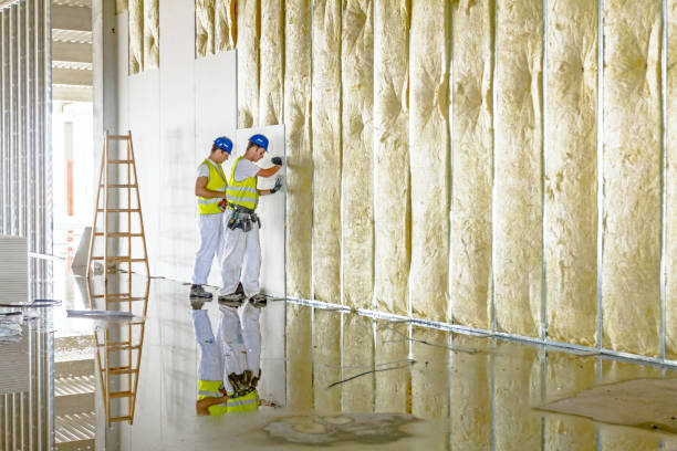 Types of Insulation We Offer in Ivyland, PA